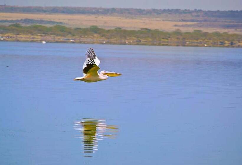 هتل Sirville Lake Elementaita Lodge