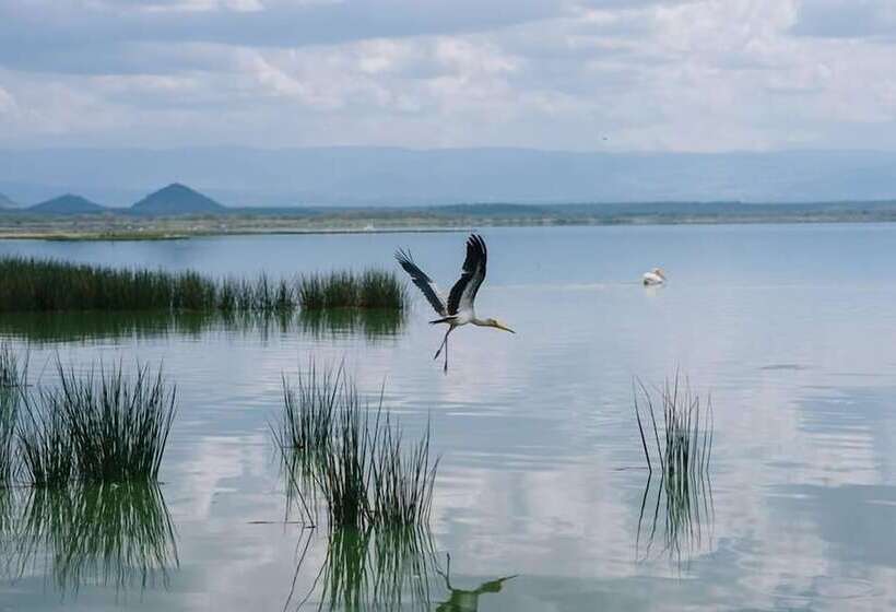 هتل Sirville Lake Elementaita Lodge