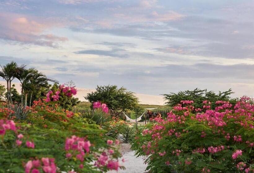 Villa Alegria  La Villa Group