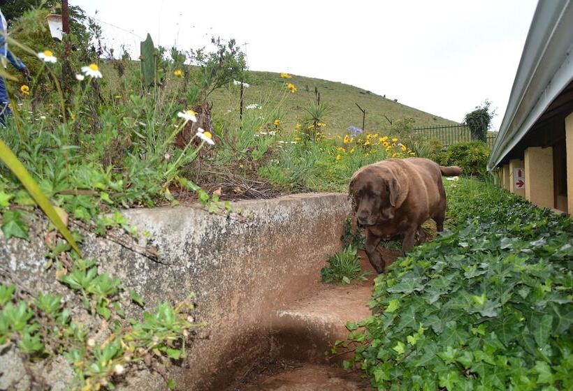 בית מלון כפרי Thaba Tsweni Lodge & Safaris