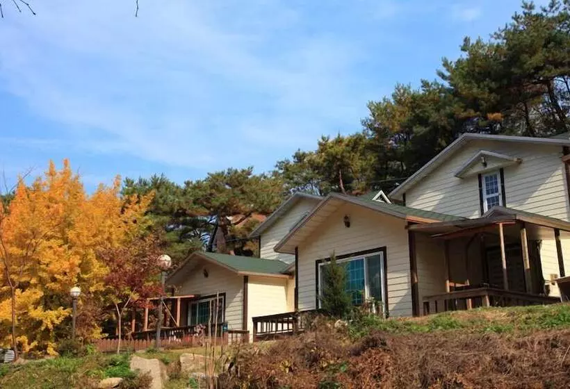 ペンション Hwangto Green Village