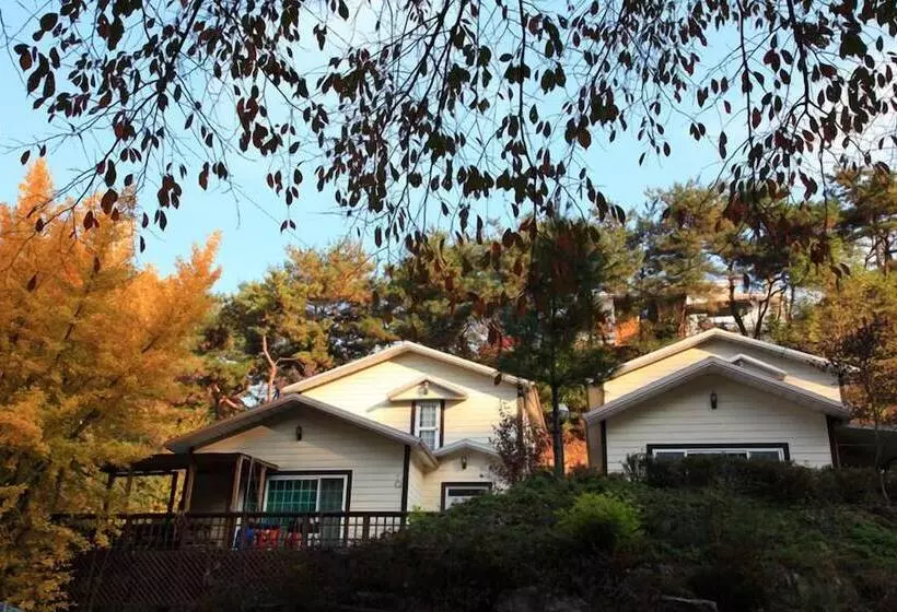 ペンション Hwangto Green Village
