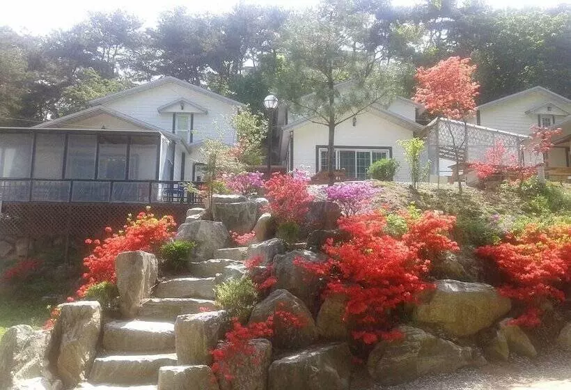 ペンション Hwangto Green Village