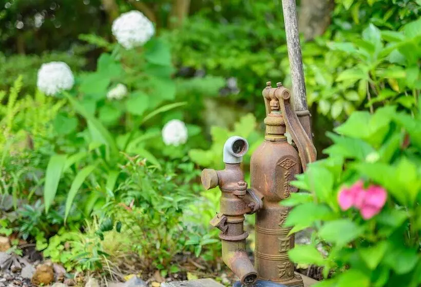 Ryokan Yufuin Waraneko No Yado