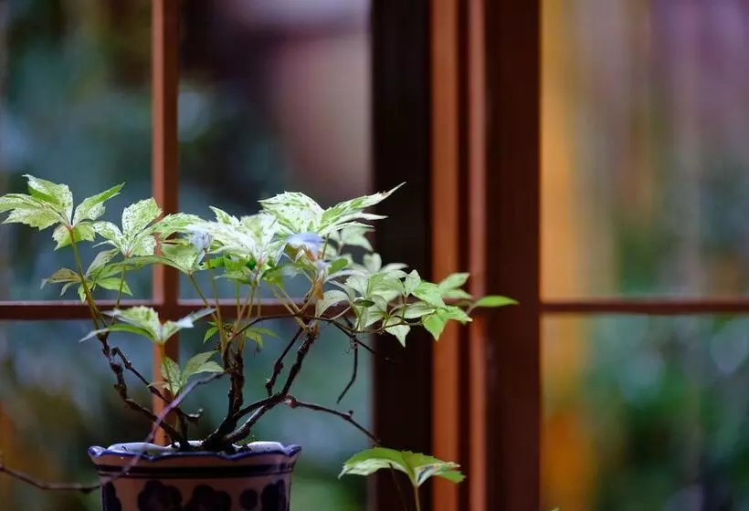 Ryokan Yufuin Waraneko No Yado