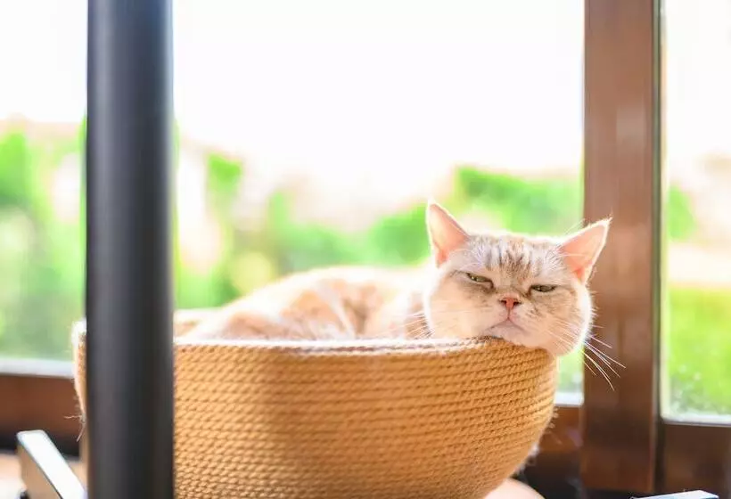 Ryokan Yufuin Waraneko No Yado