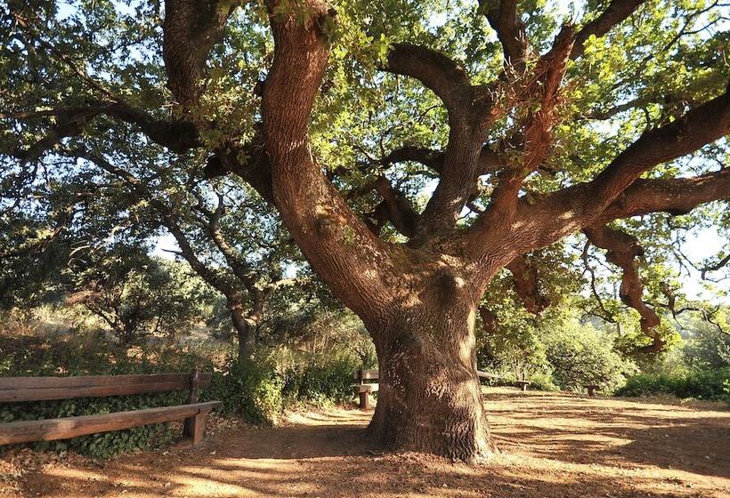 Elia Traditional Hotel & Spa