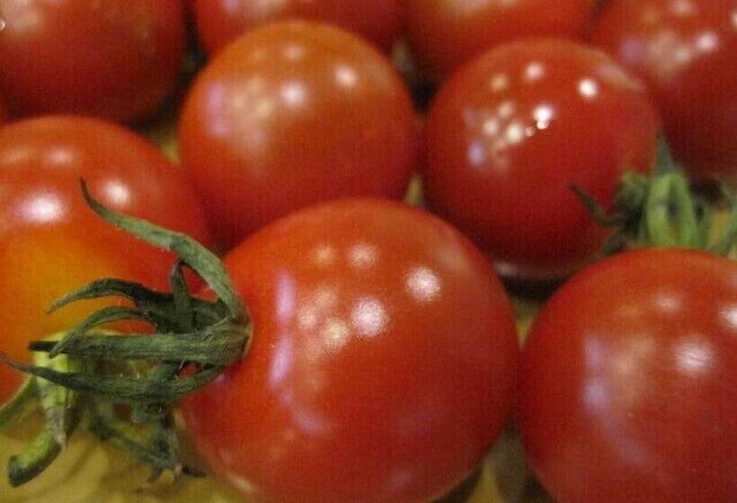 Gensen No Yado Maruishi Ryokan