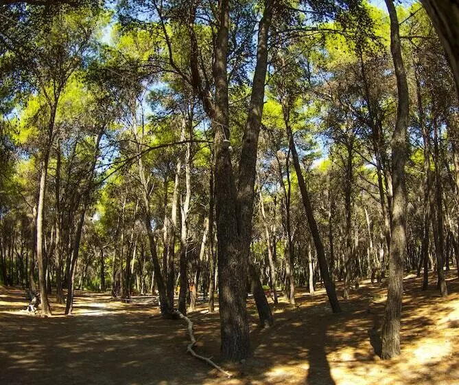 ホテル Club Nature Village