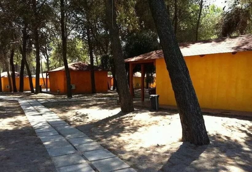 ホテル Club Nature Village