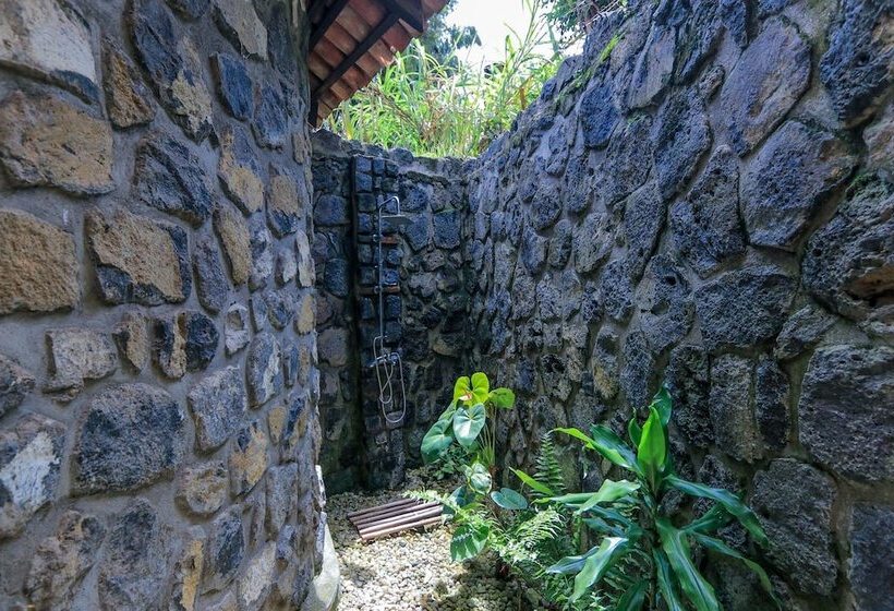 هتل The Palm Beach Resort