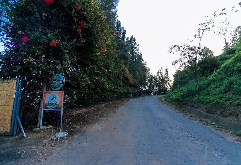 هتل The Palm Beach Resort