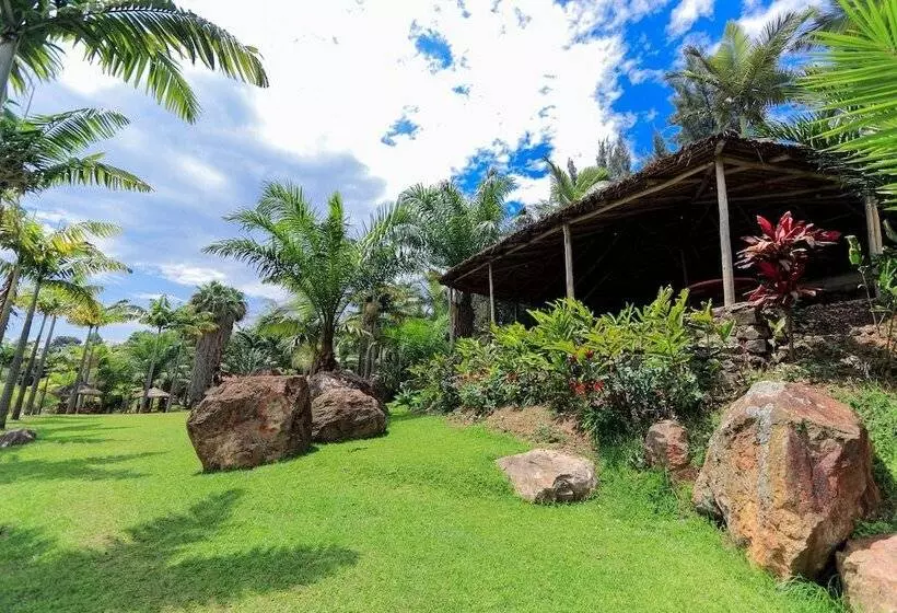 هتل The Palm Beach Resort