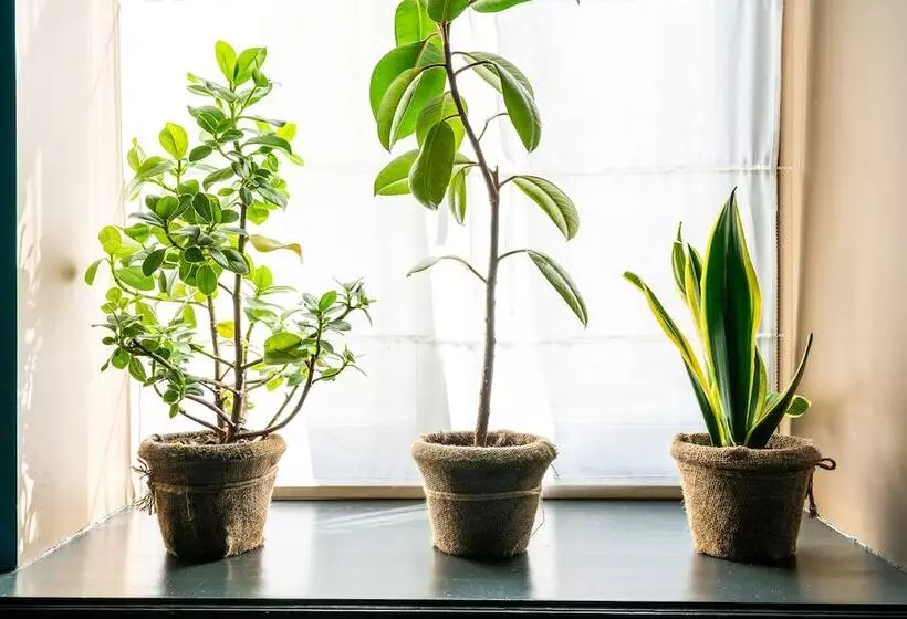 Kvartira N4 By Ginza Project