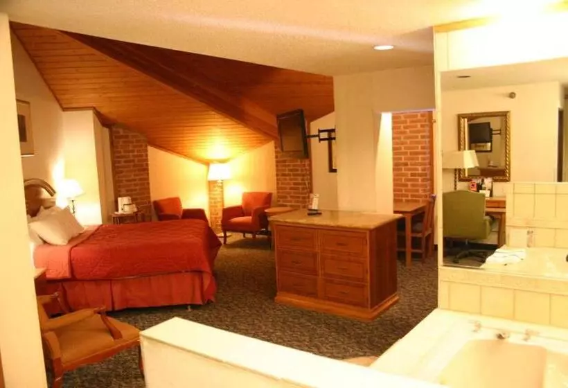 Отель American Inn And Suites Ionia