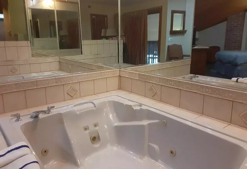 Отель American Inn And Suites Ionia