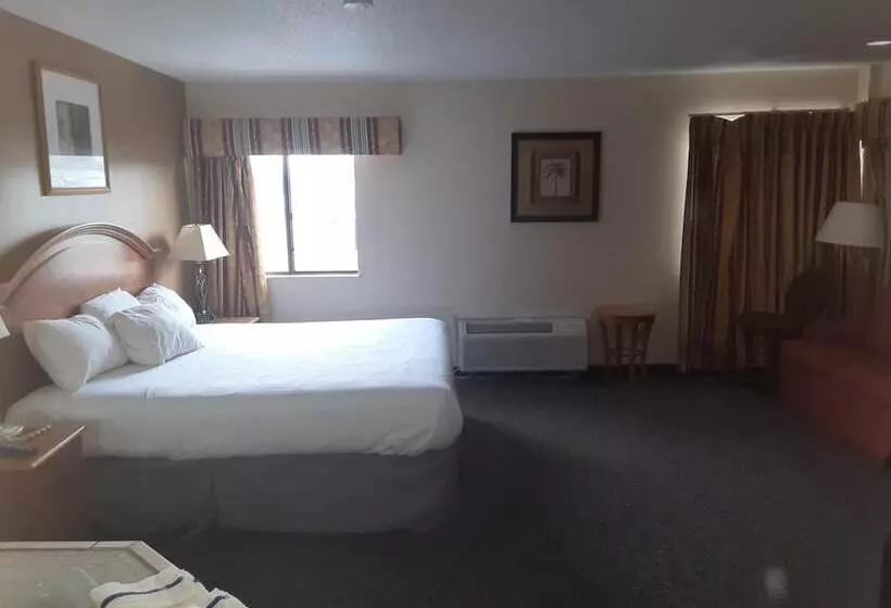 Отель American Inn And Suites Ionia
