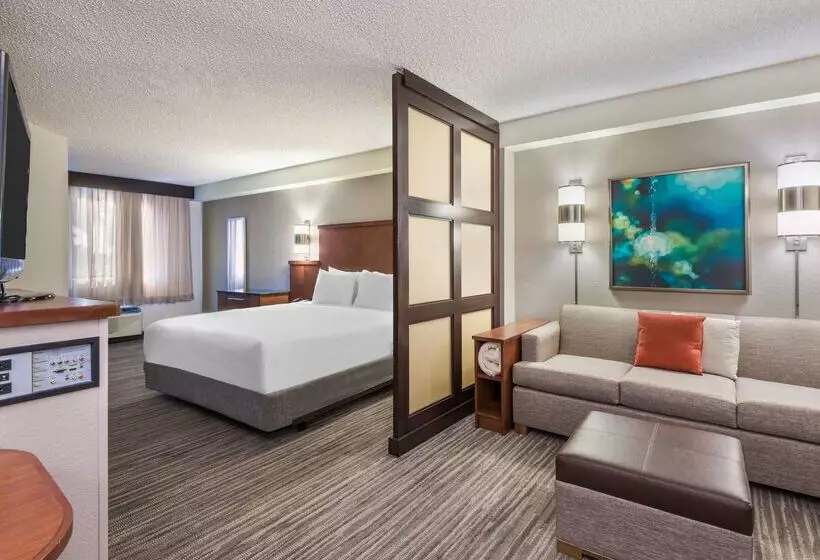 Hotel Hyatt Place Ft. Lauderdale/plantation