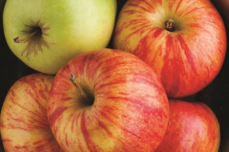 בית מלון כפרי La Quinta By Wyndham Coeur D`alene