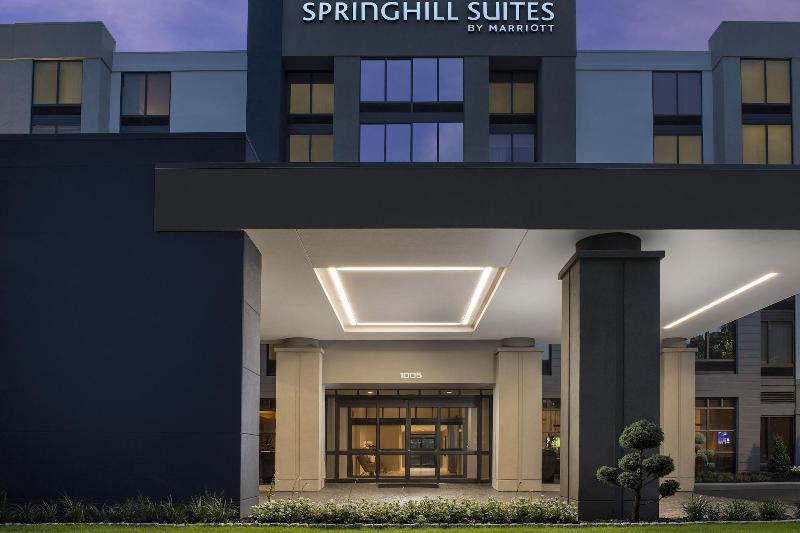 Hotel Springhill Suites By Marriott Atlanta Perimeter Center