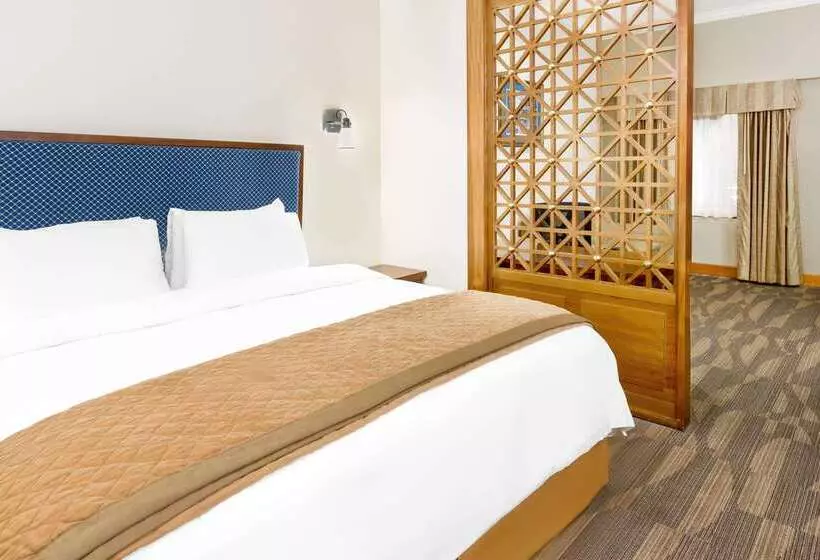 هتل Wyndham Garden Baronne Plaza