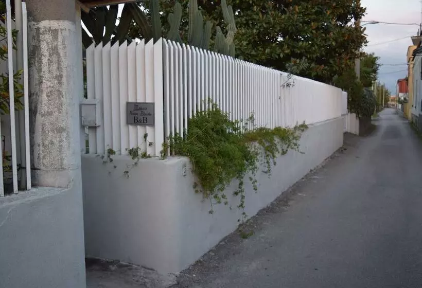 B&b Maison Blanche