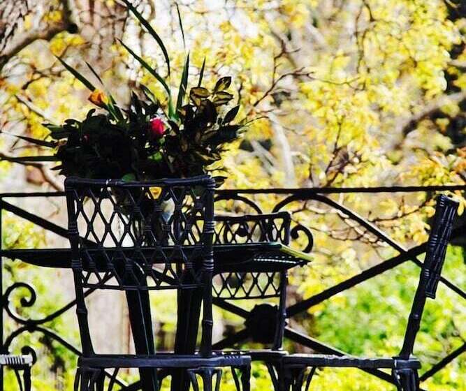 فندق ريفى Castello Di Volpaia