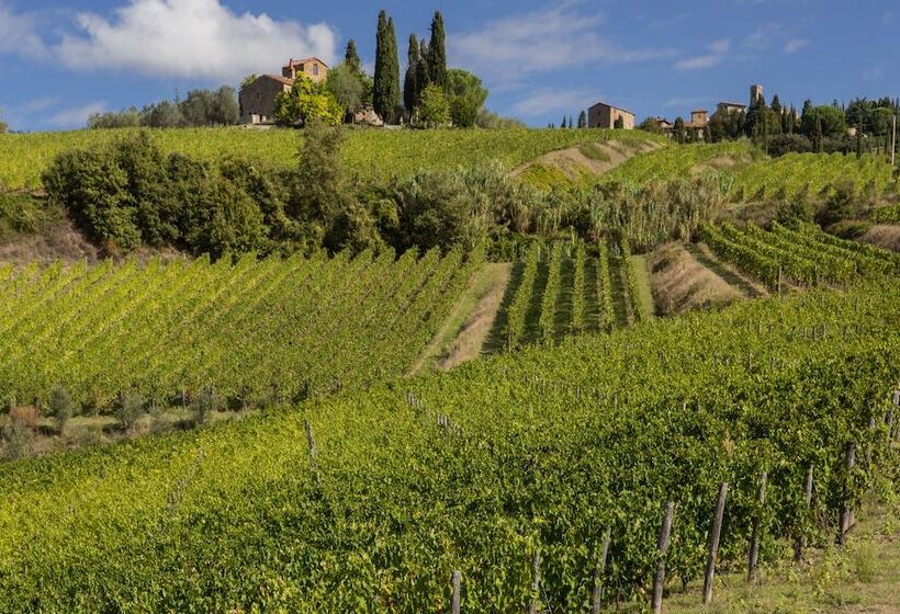 فندق ريفى Castello Di Volpaia