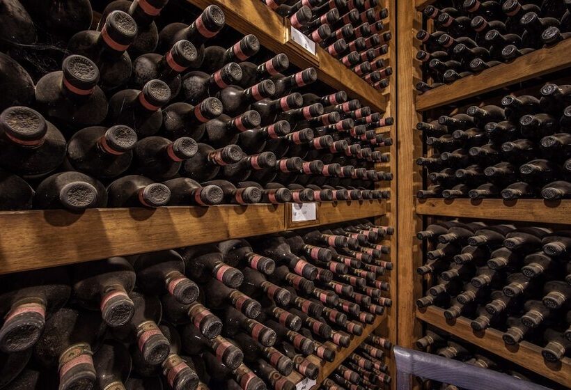 فندق ريفى Castello Di Volpaia