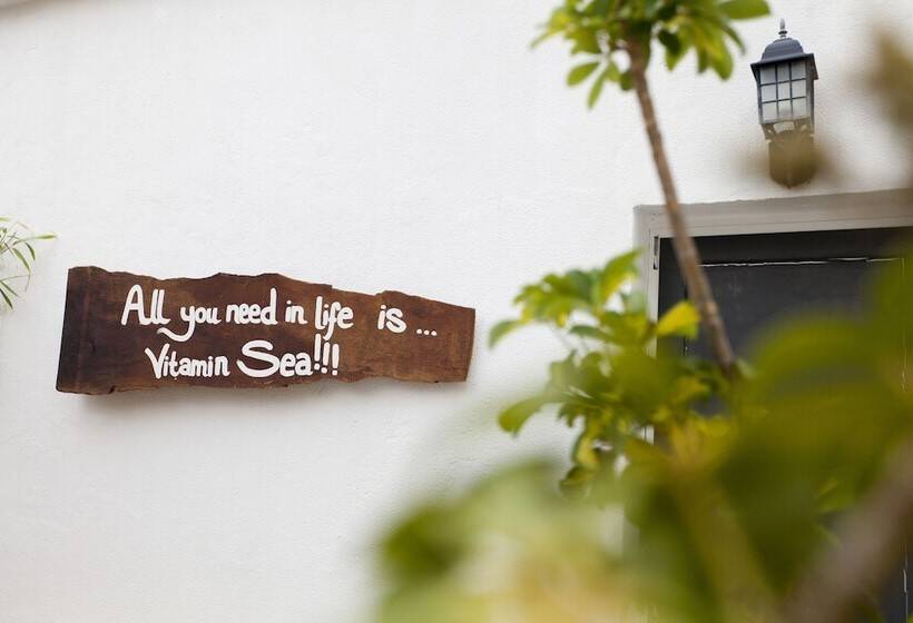 פנסיון Amar Hostel & Suites