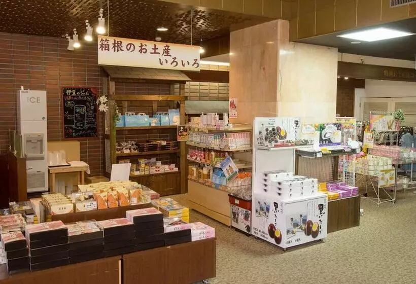 ریوکان Itoen Hotel Hakone Yumoto
