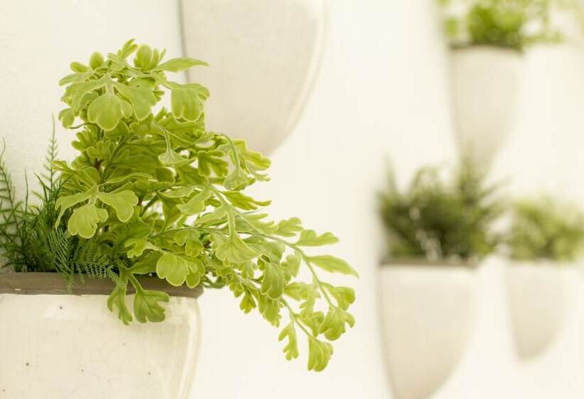 هتل Aelia Wellness Retreat