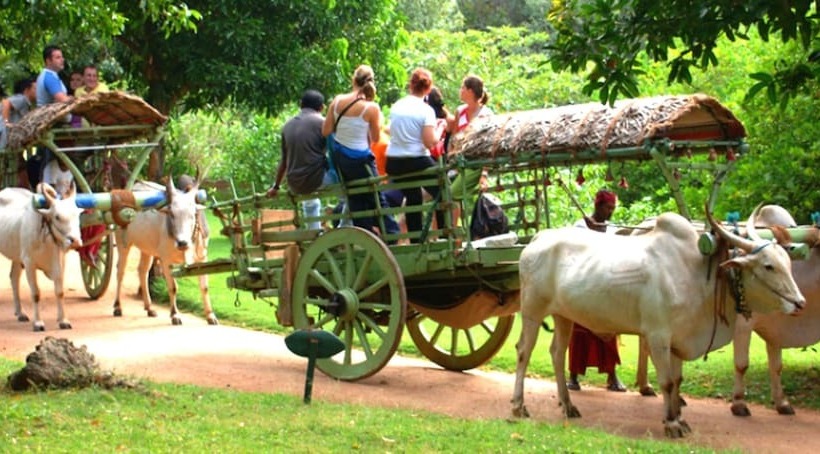 Hotel Layathraa Lake View Resort