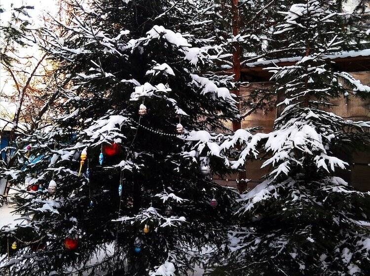 בית מלון כפרי Marina