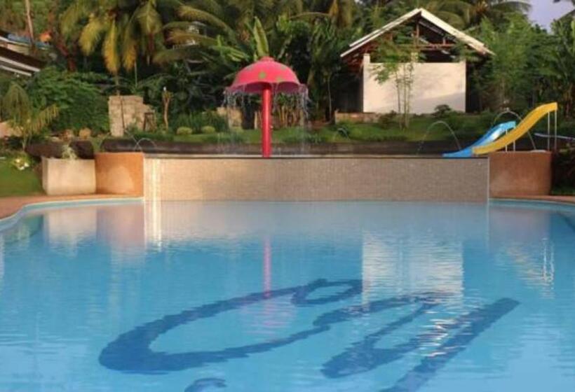 פנסיון Secter Place