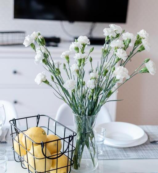 Ustka Apartament Na Wydmie