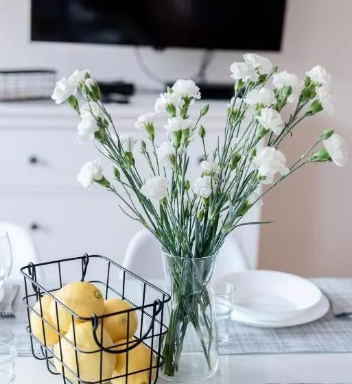 Ustka Apartament Na Wydmie