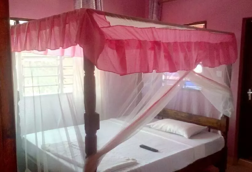 تختخواب و صبحانه Danga Guest House