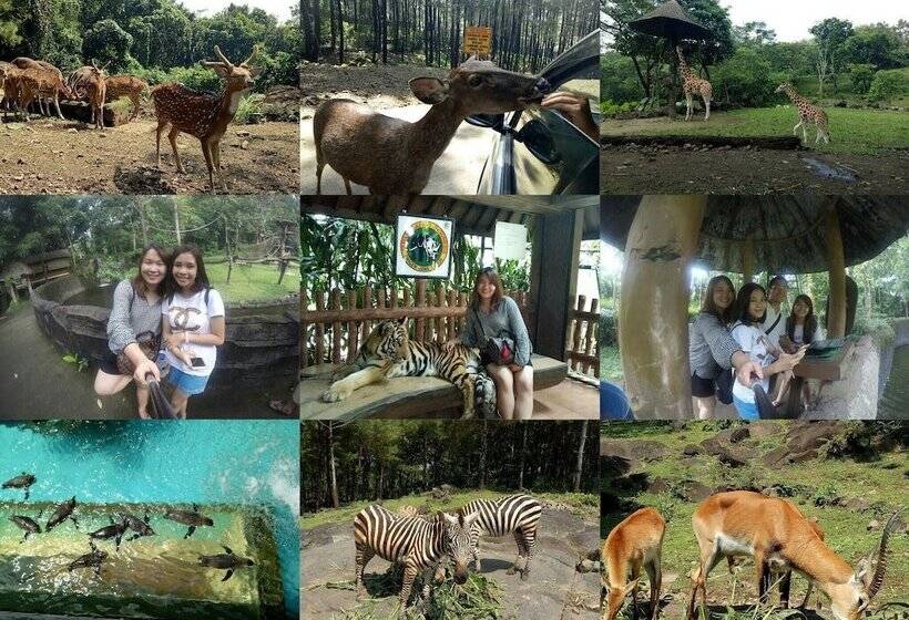 민박 Gio Guesthouse Bogor