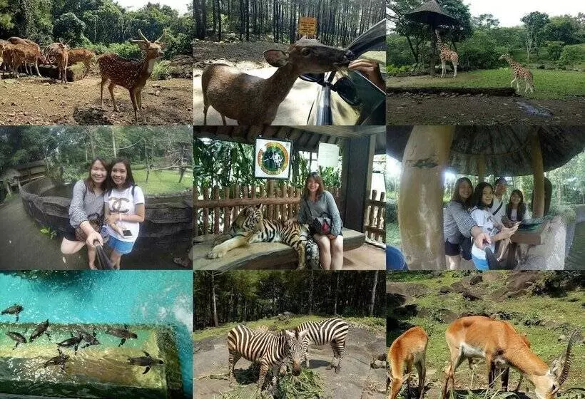 Bed & Breakfast Gio Guesthouse Bogor