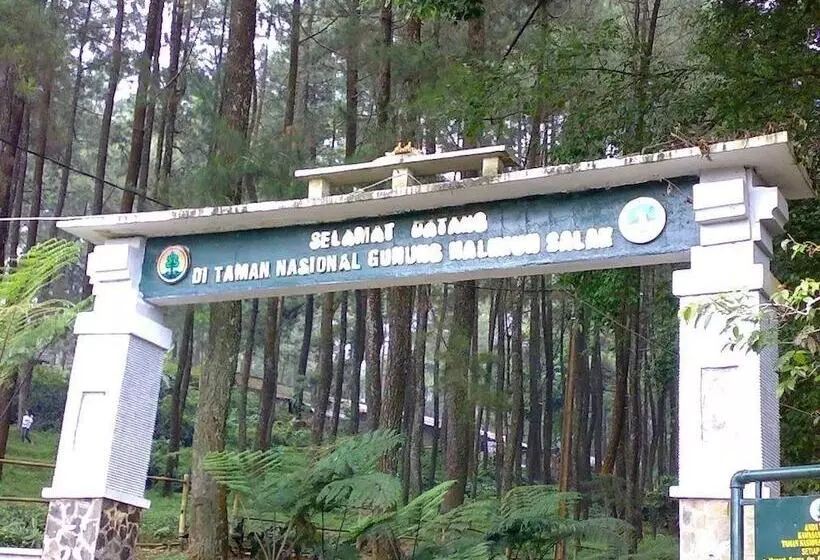 Bed & Breakfast Gio Guesthouse Bogor