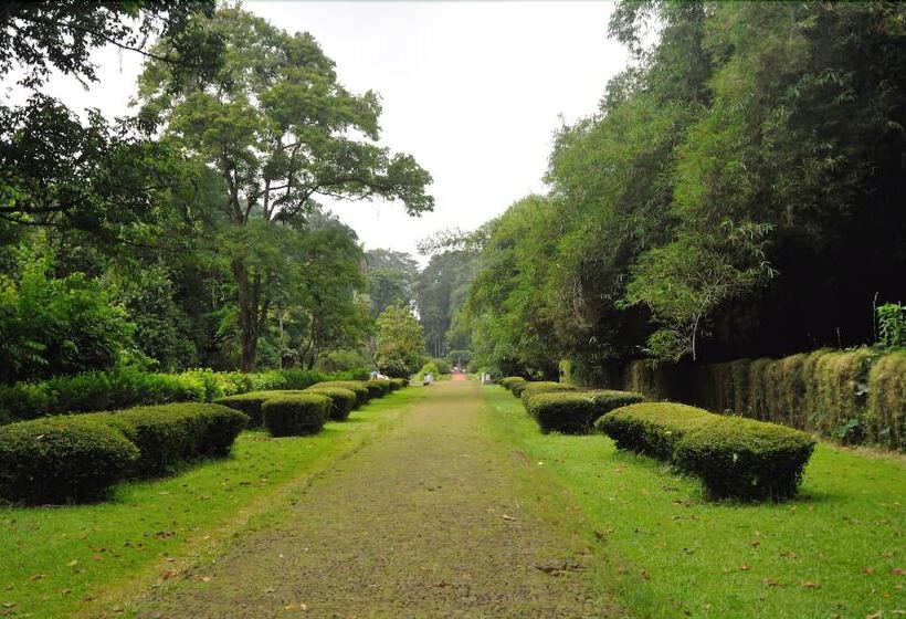 민박 Gio Guesthouse Bogor