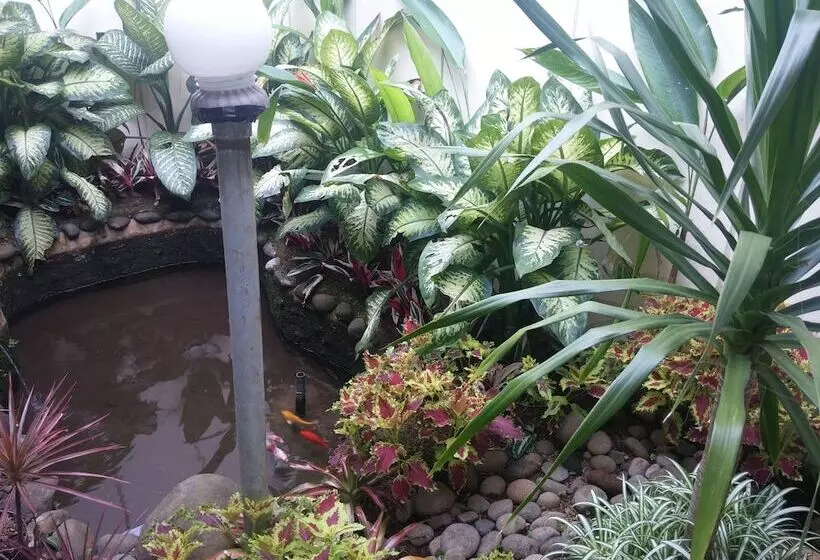 Bed & Breakfast Gio Guesthouse Bogor