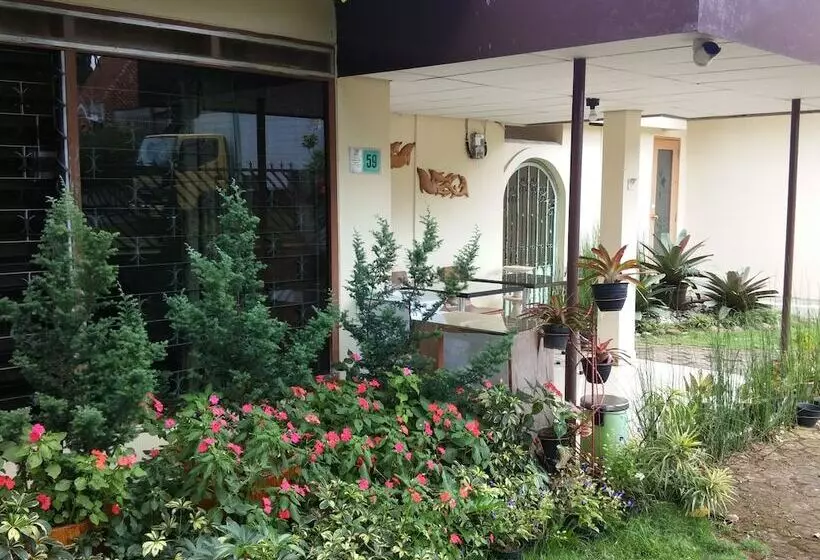 Bed & Breakfast Gio Guesthouse Bogor