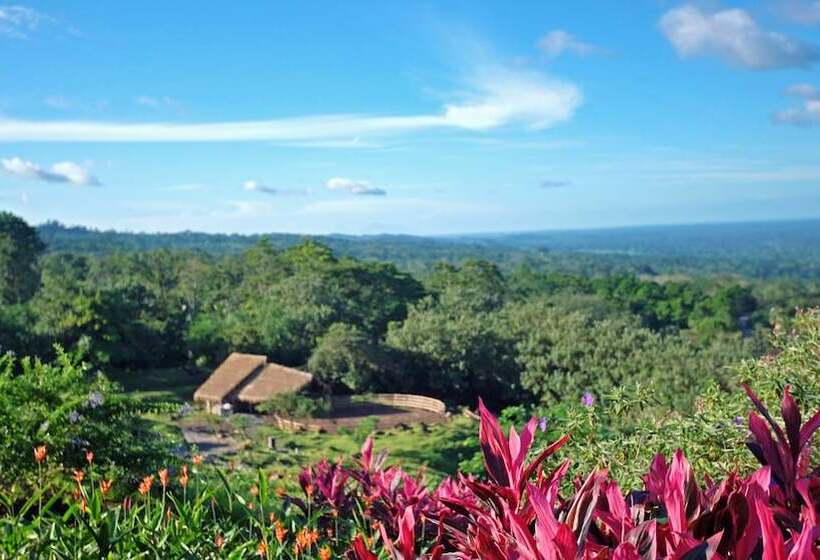 هتل Origins Lodge