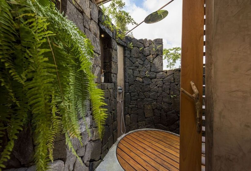 هتل Origins Lodge