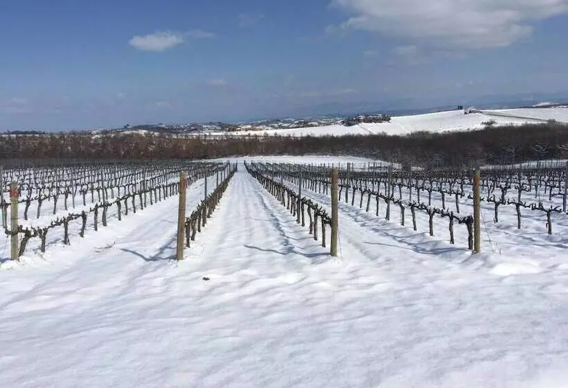 田舎風ホテル Agriturismo Podere Casa Al Vento