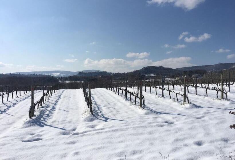 田舎風ホテル Agriturismo Podere Casa Al Vento