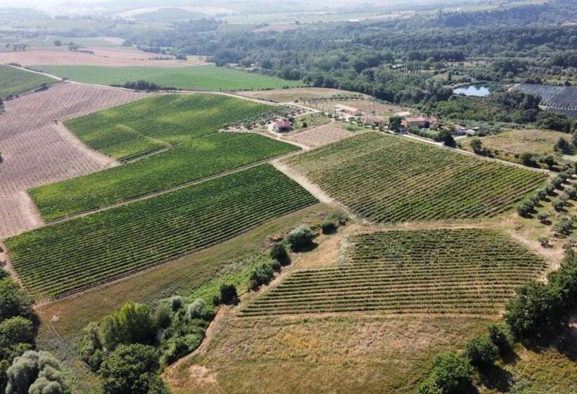 田舎風ホテル Agriturismo Podere Casa Al Vento