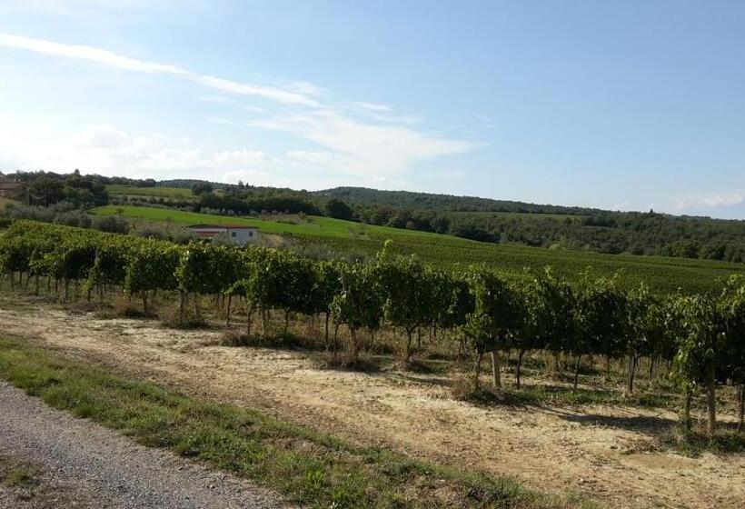 田舎風ホテル Agriturismo Podere Casa Al Vento